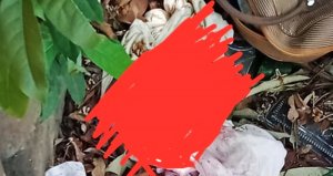 Sesosok Bayi Ditemukan di Semak, Sedih! Ternyata Sudah Meninggal
