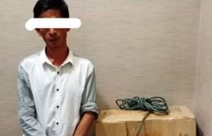 Davi Andila Curi Bra Ratna Sambiring, Sampai 4 Kardus