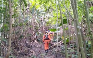 Bocah Perempuan Kakak Adik Hilang di Hutan, Tim SAR Temukan Jejak Kaki