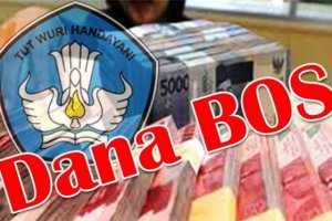 Dana Bos 2024 untuk Sulsel Rp1,8 Triliun, Ini Rinciannya 