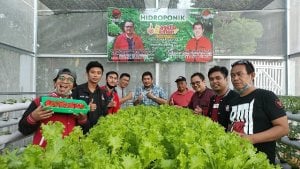 Program RAMAH untuk Masyarakat Pangkep, Muammar Muhayang Sediakan Kebun Hidroponik
