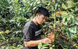 Susah Payah Naik Turun Gunung, Manis yang Hanya Lulusan SMP Sukses Berbisnis Kopi