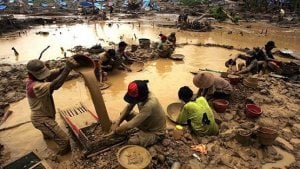 Tambang Emas Longsor, 50 Penambang Tewas