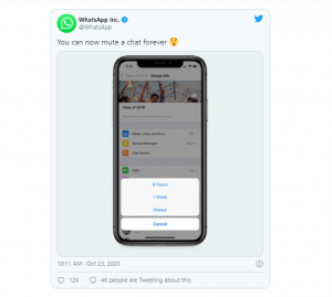 WhatsApp Mendapat Fitur Baru yang Memungkinkan Pengguna Membungkam Obrolan Selamanya