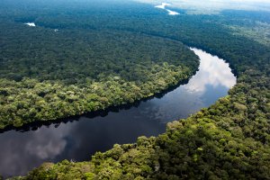 Diinisasi Indonesia dan Brazil, 17 Negara Kirim Surat Protes ke Uni Eropa Atas UU Antideforestasi