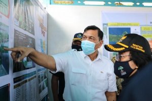 Tanam Bakau 600 Ribu Hektare, Luhut Panjaitan Lobi Investor UEA dan Eropa