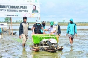 Bupati Sidrap dan Dirut Petrokimia Kayaku Tanam Perdana di BPP Sereang