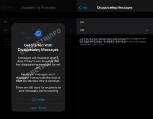 Halaman FAQ WhatsApp Jelaskan Fitur Pesan yang Menghilang