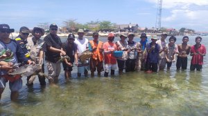 Lestarikan Penyu, Warga Barrang Caddi Bersama BPSL Lakukan Pelepasan