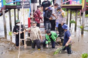 Tanam Mangrove Bersama Driver Gojek, Wagub Sulsel Ajak Hijaukan Pesisir