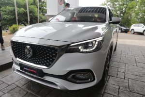 CEO PT Sinar Galesong Automobil Memperkenalkan Morris Garages