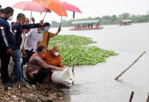 Ada Doa-doa, Danny Pomanto Diundang pada Acara Pelepasan Bala di Sungai Je’neberang