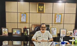 PAD Bone Lampaui Target, Tiga Sektor Ini Penyumbang Tertinggi