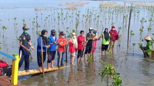 Jaga Ekosistem Pesisir Laut, DKP Sulsel Tanam Ribuan Pohon Mangrove