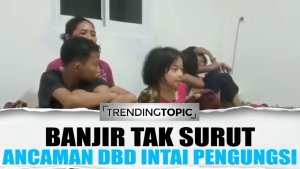 Waspada! Penyakit DBD Intai Pengungsi Banjir