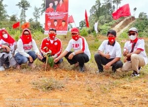 HUT PDIP, TMP Sulsel Gelar Penanaman 48 Ribu Bibit Pohon di Toraja Utara
