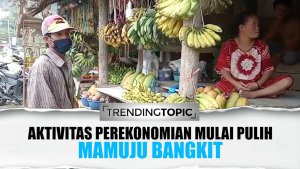 Mamuju Bangkit, Aktivitas Perekonomian Pasca Gempa Mulai Pulih
