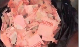 Video Viral… Uang Rp15 Juta Dimakan Rayap, Lebih Setahun Tersimpan di Kasur
