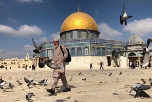 Warga Palestina Berduka, Bapak Kucing di Kompleks Masjidilaqsa Meninggal