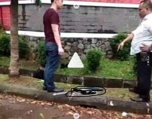 Diduga Bunuh Kucing, Pelaku: Saya Bunuh Dia Tapi Tidak Siksa
