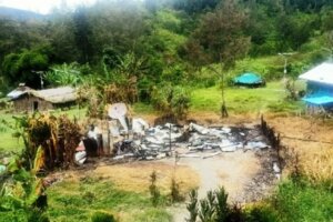 KKB Papua Kembali Teror Warga, Bakar Rumah Kepala Suku dan Fasilitas Pendidikan