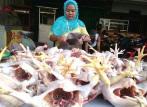 Harga Ayam Melambung