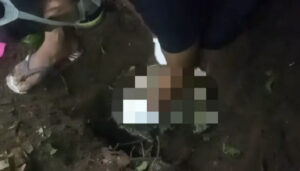 Nyesek! Orok Bayi Terbungkus Baju Sekolah Diperkirakan Sudah 3 Hari Terkubur