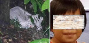 Sella, Anak Piatu yang Tewas Terbungkus Karung