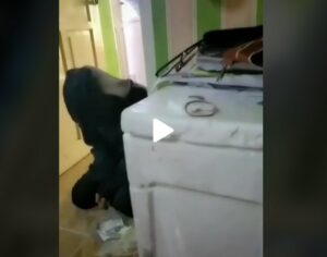 Viral! Seorang Istri Merekam ART Saat Sedang Mesum dengan Suaminya!
