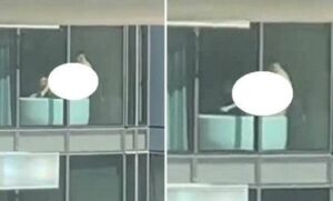 Lupa Tutup Gorden, Aktivitas Ranjang Pasangan Ini Jadi Tontonan Pekerja Satu Gedung