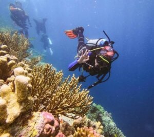 Terumbu Karang Warna-warni Bawah Laut Takabonerate Bikin Diver Ketagihan