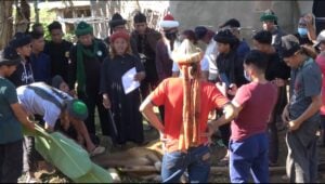 Tak Goyah Meski Himpitan PPKM, Jemaah An-Nadzir Qurban 3 Ekor Sapi