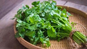 Punya Bau Menyengat, Tak Disangka Daun Ketumbar Ampuh Tangkal 5 Penyakit Kronis Ini
