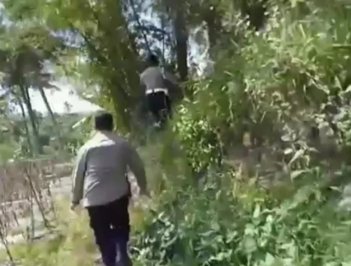 Polisi dan TNI Merangsek ke Tengah Hutan, Belasan Orang Kocar-kacir