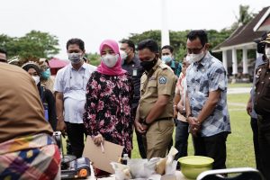 Tanpa Dibiayai APBD, Festival Kaloli Berlangsung Meriah