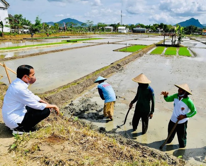 Jokowi Akui Jumlah Petani Berkurang, Bupati Gowa: Pemuda Tidak Hobi Bertani