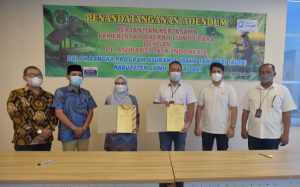 Di Luwu Utara, 7.000 Hektar Lahan Pertanian Dilindungi Asuransi Usaha Tani Padi