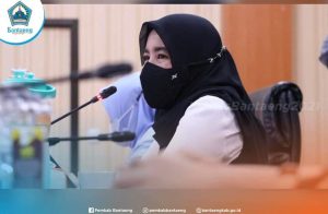 Ketua TP.PKK Bantaeng Buka Sosialisasi Penanganan Dan Pencegahan Stunting