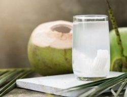 Manfaat Minum Air Kelapa Saat Puasa: Menjaga Tubuh Tetap Segar dan Terhidrasi