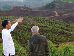 Jokowi Siap Tunjuk Kepala Otorita IKN Nusantara, Siapa Yang Cocok?