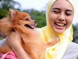 Suara Gonggongan Anjing, Memang Cara Hewan Itu Bersuara, Anjing Bukan Hewan Yang Hina