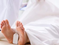 Satu Keluarga Tewas Akibat Tersengat Listrik, Begini Kronologinya