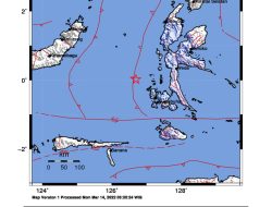 Gempa Bumi Magnitudo 4,9 Guncang Tidore, Getaran Terasa hingga Ternate