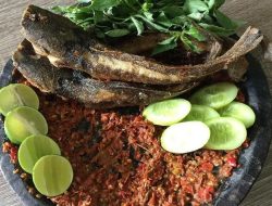 Halalkah Mengonsumsi Lele yang Diberi Makan Tinja dan Bangkai Hewan? Ini Dalilnya