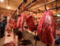 H-7 Lebaran, Harga Daging Sapi Mulai Merangkak Naik
