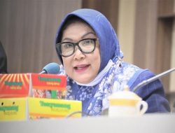 Kursi Nurhaldin NH Digoyang, Apiaty Amin Syam: Bukan Saya, yang Diusulkan Wahab Tahir