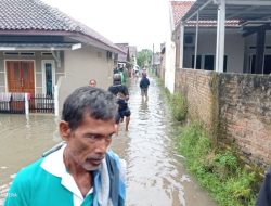 Hujan Lebat Paksa Sungai Cikaret Meluap, Satu Warga Hanyut dan Ketinggian Banjir hingga 1 Meter