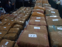 Polda Metro Jaya Sukses Ungkap Peredaran Narkotika, Barang Bukti Mencapai 471,6 Kilogram