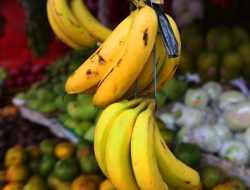 Anda Menderita Tekanan Darah Tinggi? Ternyata Buah Ini Bantu Menurunkannya