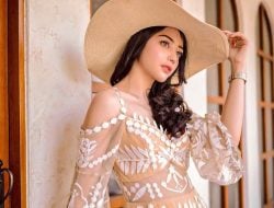 Dipepet Anak Eks Pejabat Pajak dan Ditransfer Ratusan Juta, Pramugari Siwi Widi Tak Curiga